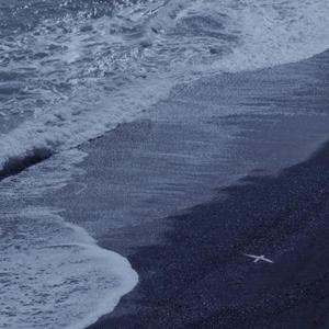 女孩子的隐藏部位清晰照片
