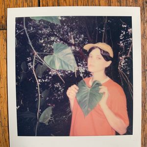 四十路韵母交尾的出处和背景
