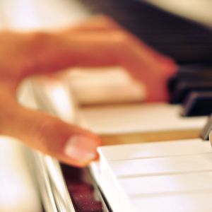 520886美国版!免费
