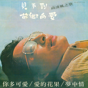 婚闹上新娘未删减版在线观看
