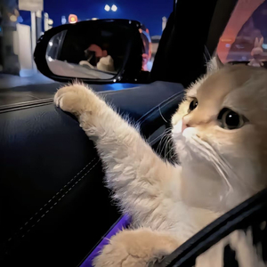 亚洲中文字幕在线无码一区二区
