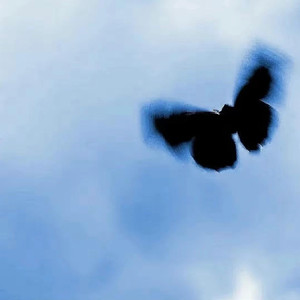 黄色激情夫妻性生活视频
