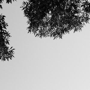 可知子与鸟君漫画免费观看
