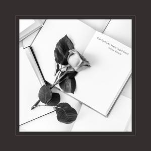 比安卡图片原版在哪里有
