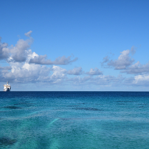 做爱抚摸插入蛇吻视频
