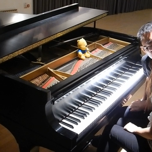 两瓣湿漉漉向上
